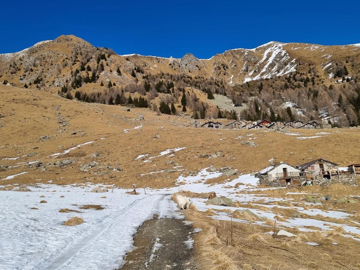 Mary House Daire Sondrio Dış mekan fotoğraf