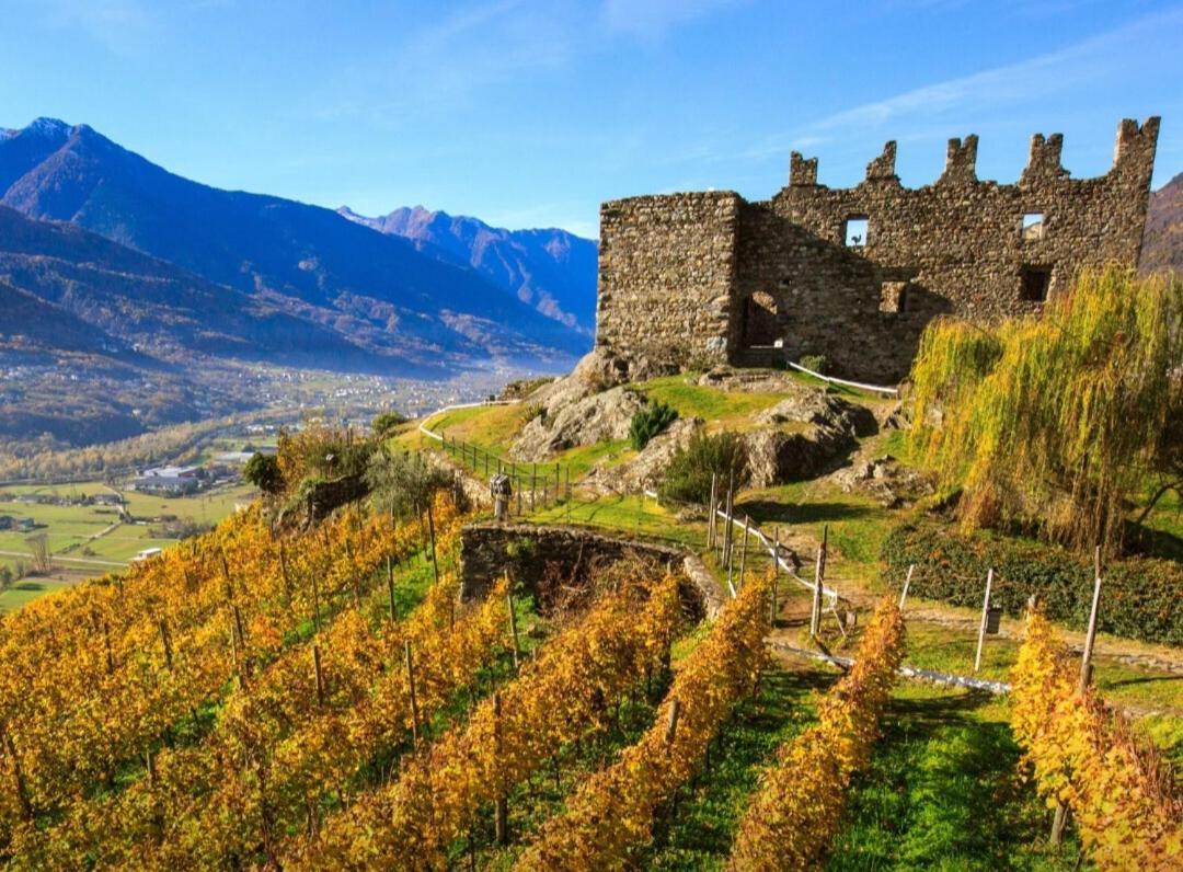 Mary House Daire Sondrio Dış mekan fotoğraf