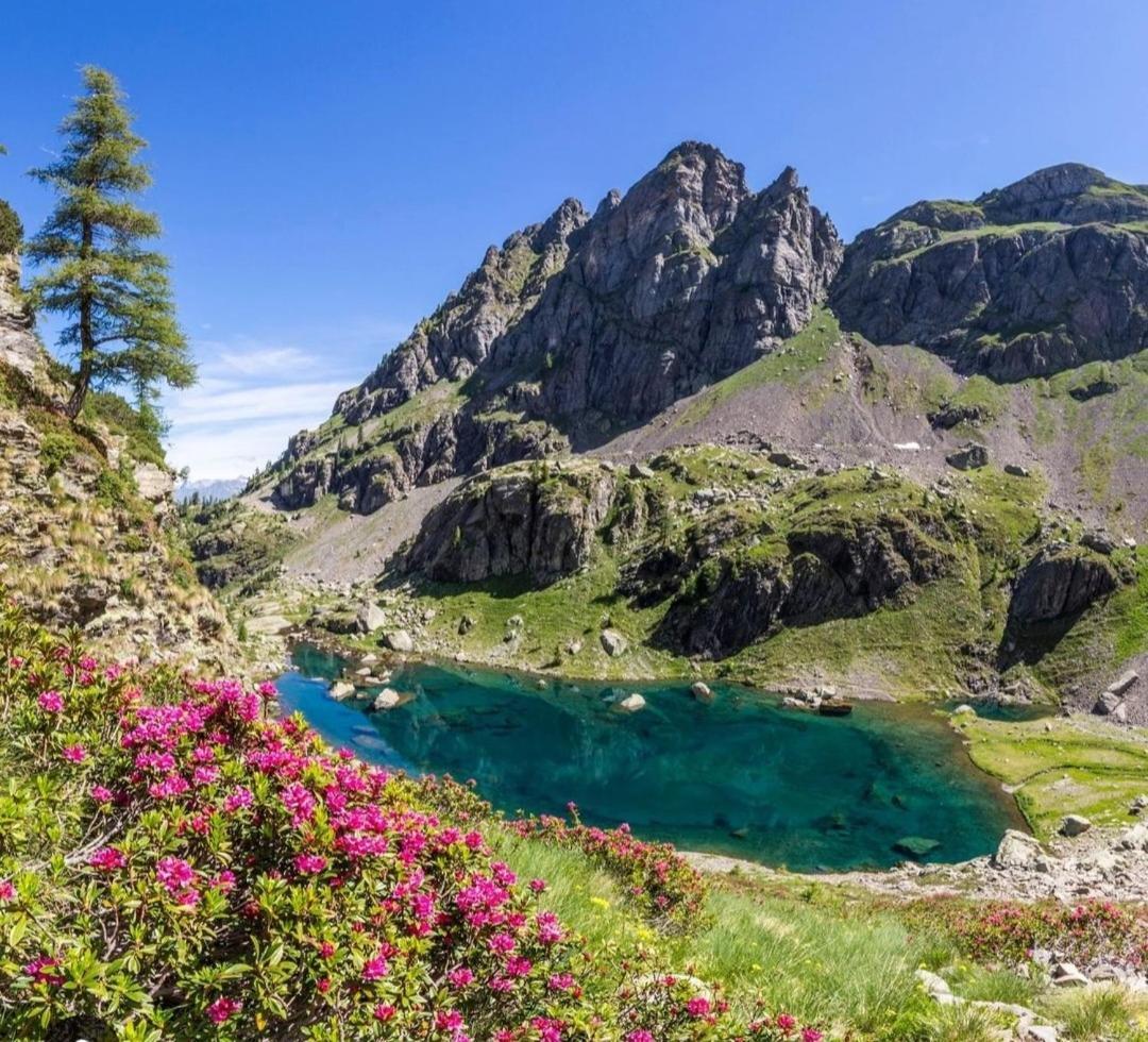Mary House Daire Sondrio Dış mekan fotoğraf
