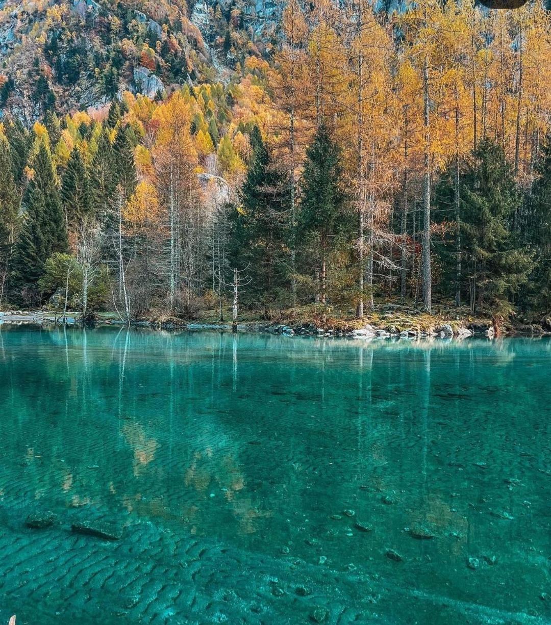 Mary House Daire Sondrio Dış mekan fotoğraf